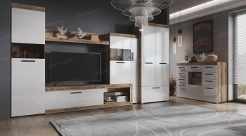 Стенка Бастон+шкаф (Эра) в Сухом Логу - suhoj-log.mebel-e96.ru