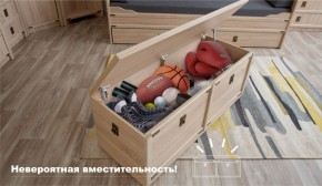 Сундук Валенсия Дуб сонома (Имп) в Сухом Логу - suhoj-log.mebel-e96.ru