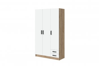 Шкаф 1200 мм Эконом без зеркала (Зарон) в Сухом Логу - suhoj-log.mebel-e96.ru