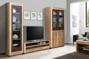 Стенка Фантазия модульная (Олмеко) в Сухом Логу - suhoj-log.mebel-e96.ru