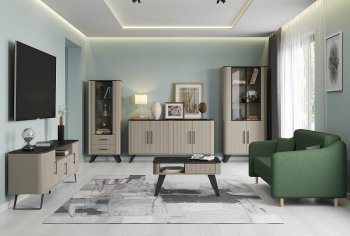 Стенка Фиделия, модульная (Олмеко) в Сухом Логу - suhoj-log.mebel-e96.ru