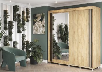 Шкаф-купе 2000 мм Форест крафт золотой(Стиль) в Сухом Логу - suhoj-log.mebel-e96.ru