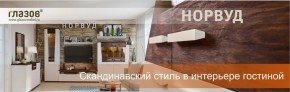 Горка Шерлок 2 ясень анкор светлый дуб сонома в Сухом Логу - suhoj-log.mebel-e96.ru