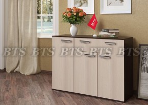 Комод Стандарт 4 NEW (БТС) в Сухом Логу - suhoj-log.mebel-e96.ru