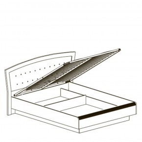 Кровать двойная 1600 с ПМ Афины 368 (Яна) в Сухом Логу - suhoj-log.mebel-e96.ru