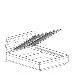 Кровать двуспальная 1600 с ПМ Дели 77 (Яна) в Сухом Логу - suhoj-log.mebel-e96.ru