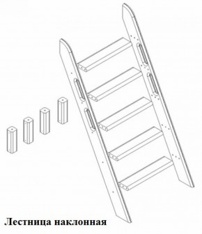 Кровать Сонечка 2-х ярусная (модульная) в Сухом Логу - suhoj-log.mebel-e96.ru