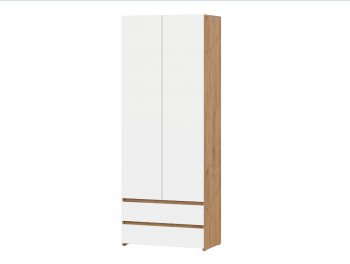 Стол компьютерный Некст-1 + Шкаф (СВ) в Сухом Логу - suhoj-log.mebel-e96.ru