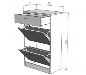 Обувница W21 (ДМ) в Сухом Логу - suhoj-log.mebel-e96.ru