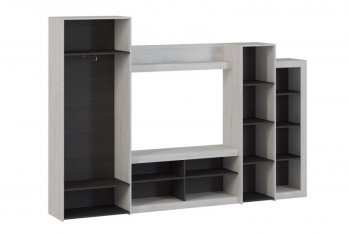 Стенка OSKAR4 сосна белая (Генезис) в Сухом Логу - suhoj-log.mebel-e96.ru