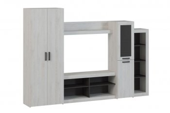 Стенка OSKAR4 сосна белая (Генезис) в Сухом Логу - suhoj-log.mebel-e96.ru