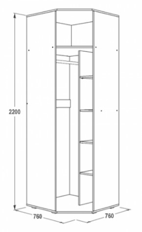 Шкаф 1-но дверный угловой Ольга-14 (760*760) в Сухом Логу - suhoj-log.mebel-e96.ru