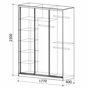 Шкаф-купе Бассо 1-600 (полки слева) в Сухом Логу - suhoj-log.mebel-e96.ru