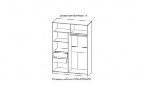 Шкаф-купе ВИКТОРИ-13 Анкор темный в Сухом Логу - suhoj-log.mebel-e96.ru