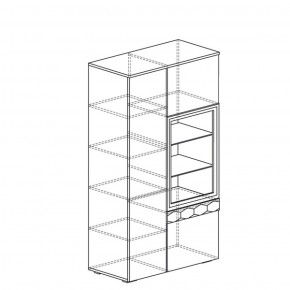 Шкаф многоцелевой Дели 62 (Яна) в Сухом Логу - suhoj-log.mebel-e96.ru