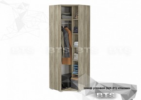 Шкаф угловой ШК-21 Наоми (БТС) в Сухом Логу - suhoj-log.mebel-e96.ru