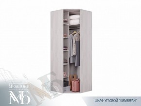 Шкаф угловой ШК-28 Кимберли (БТС) в Сухом Логу - suhoj-log.mebel-e96.ru