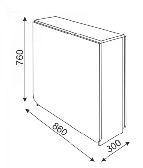 Стол-книжка прямая (Риннер) в Сухом Логу - suhoj-log.mebel-e96.ru