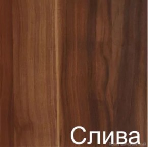 Стол раскладной с ящиком (6-02.120) Слива (ГК) в Сухом Логу - suhoj-log.mebel-e96.ru