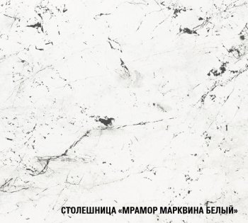 Кухонный гарнитур Терция экстра 5 3000 мм (Герда) в Сухом Логу - suhoj-log.mebel-e96.ru