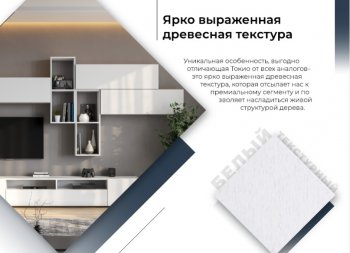 Стенка Токио комп.3 (СВ) в Сухом Логу - suhoj-log.mebel-e96.ru