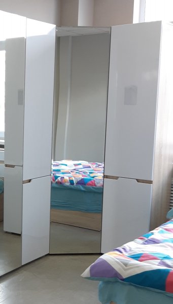 Угловой шкаф с зеркалом Трио (Эко) в Сухом Логу - suhoj-log.mebel-e96.ru | фото