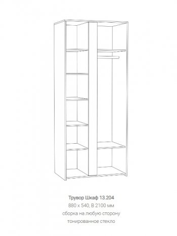 Шкаф Трувор 13.204 в Сухом Логу - suhoj-log.mebel-e96.ru