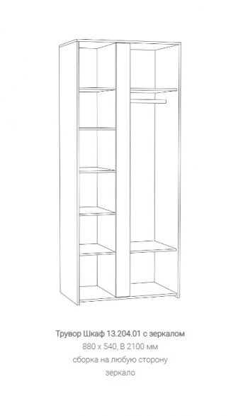 Шкаф Трувор 13.204.01 с зеркалом в Сухом Логу - suhoj-log.mebel-e96.ru