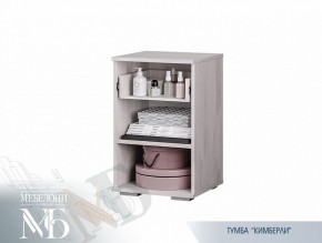 Тумба прикроватная ТБ-02 Кимберли (БТС) в Сухом Логу - suhoj-log.mebel-e96.ru