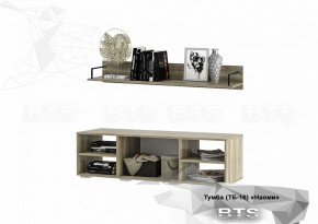 Тумба ТВ ТБ-16 Наоми (БТС) в Сухом Логу - suhoj-log.mebel-e96.ru