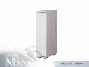 Тумба узкая ТБ-21 Кимберли (БТС) в Сухом Логу - suhoj-log.mebel-e96.ru