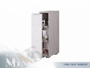 Тумба узкая ТБ-21 Кимберли (БТС) в Сухом Логу - suhoj-log.mebel-e96.ru